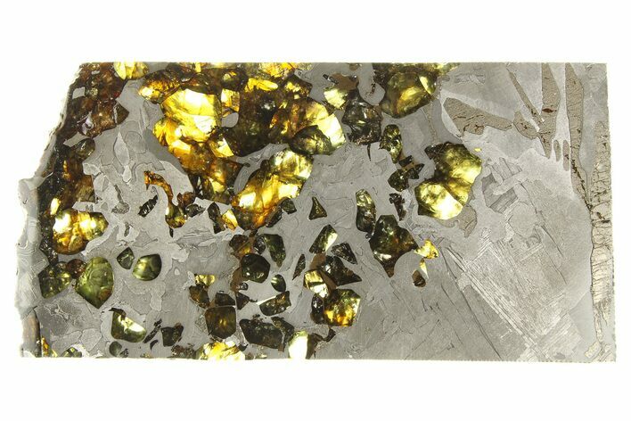 Seymchan Pallasite Meteorite Slice ( g) - Russia #264928